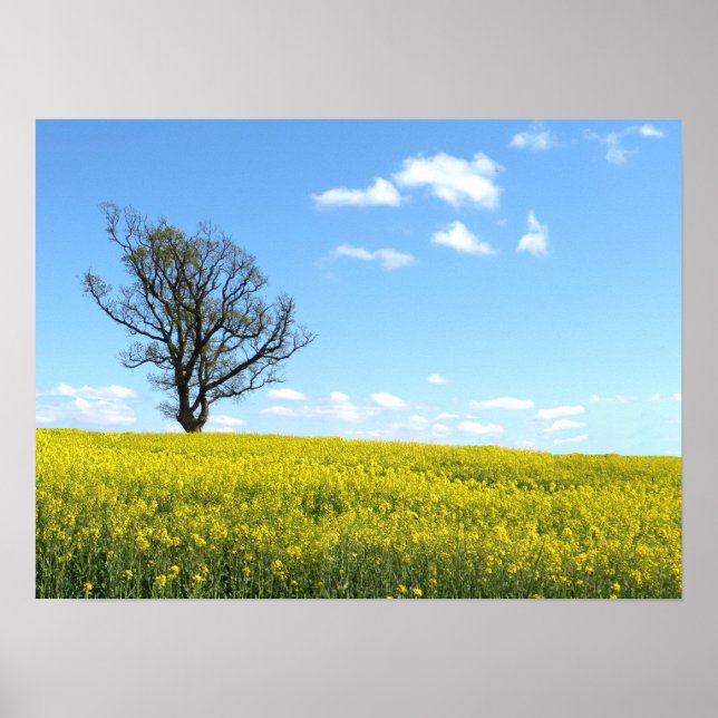 Póster Poster natural (Frente)