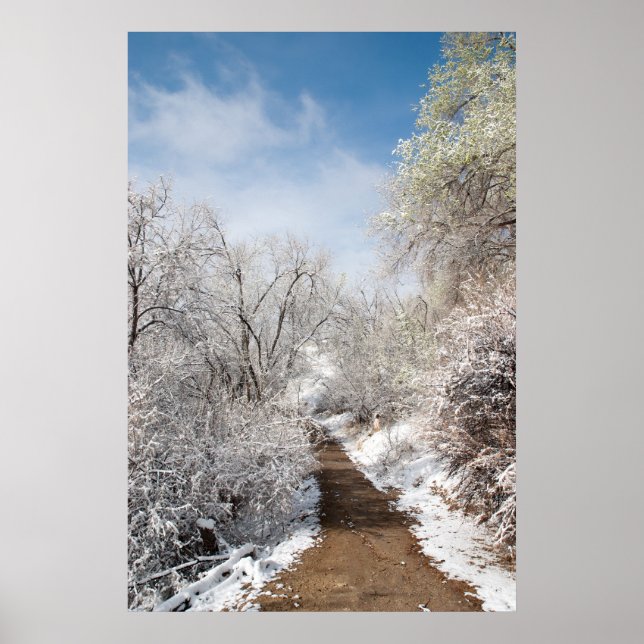 Póster Poster natural de la nieve de primavera (Frente)