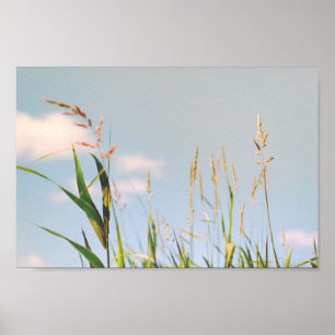 Póster Poster natural de pradera de campo de cielo azul d