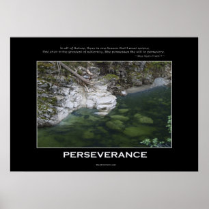 Póster POSTER Natural PERSEVERANCE