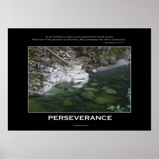 Póster POSTER Natural PERSEVERANCE (Frente)