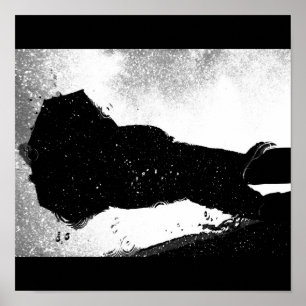 Póster Poster-Naturaleza-Arte de la Lluvia-28