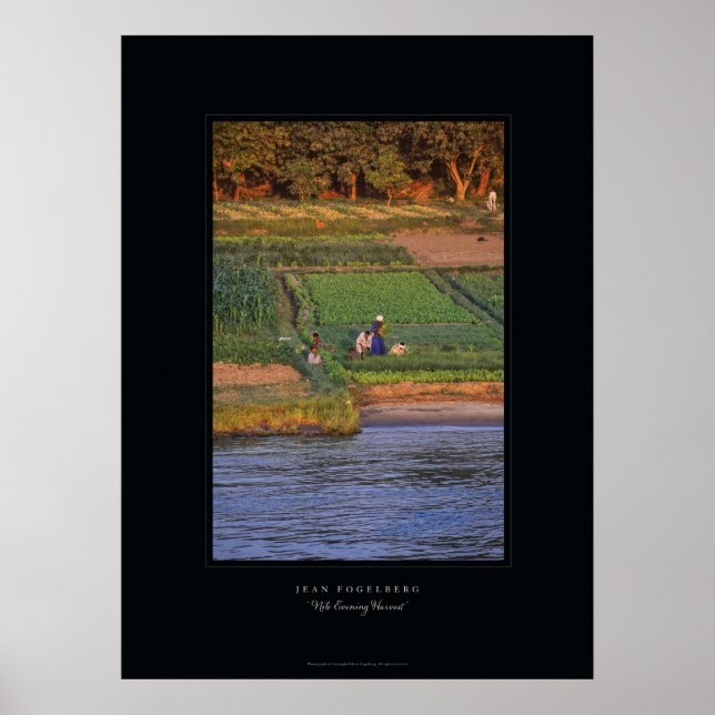 Póster poster "Nile Evening Harvest" (Frente)