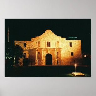 Póster Poster nocturno de Álamo