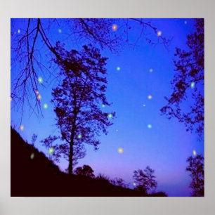 Póster Poster nocturno encantado