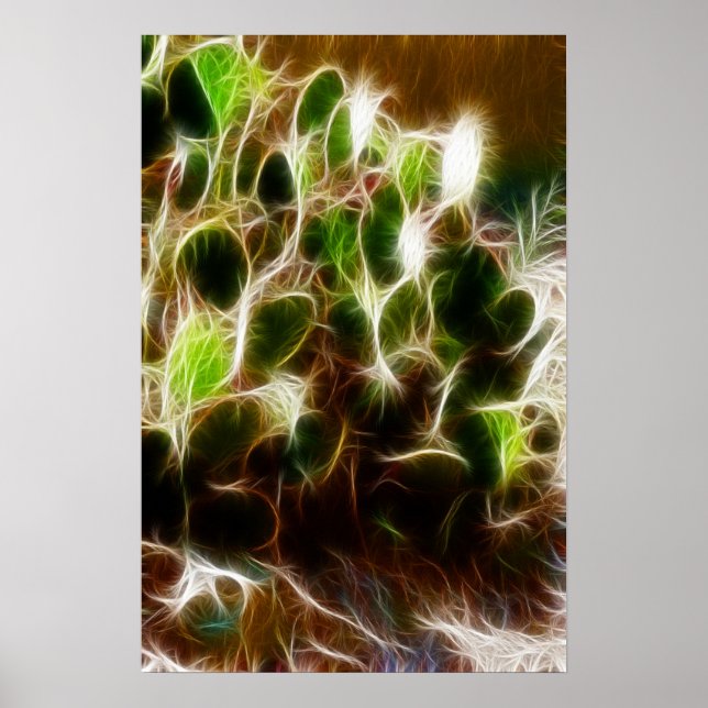Póster Póster- Nopal (Frente)