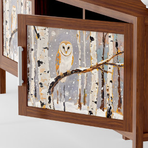 Póster Poster O Papel De Decoupage De Winowl Wall Art