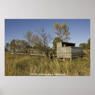 Póster Poster/Observación de la vida silvestre de madera 