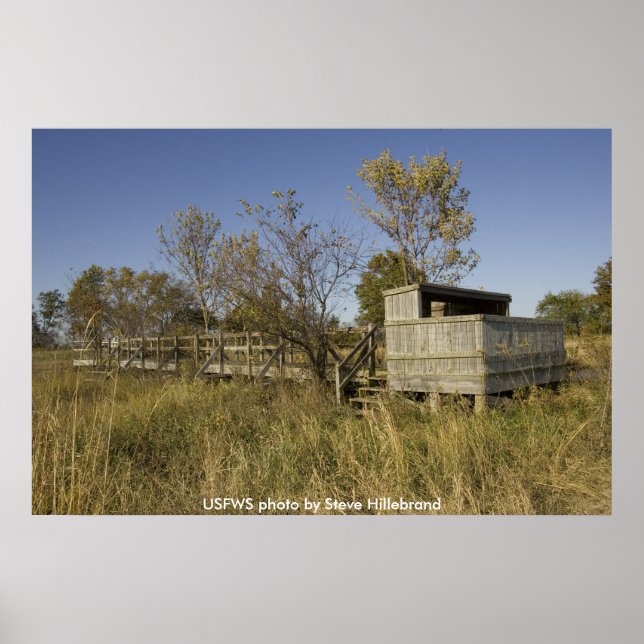 Póster Poster/Observación de la vida silvestre de madera  (Frente)