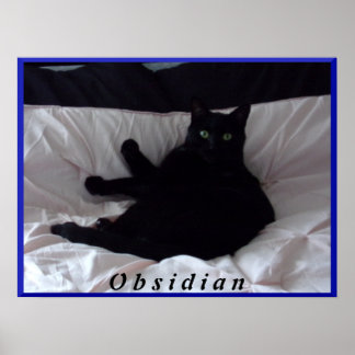 Póster Poster "obsidiano" de gato negro