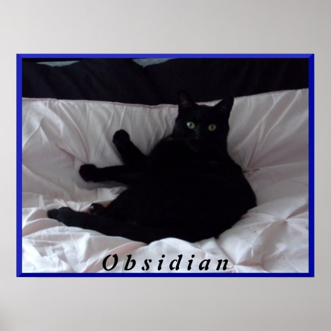 Póster Poster "obsidiano" de gato negro (Frente)