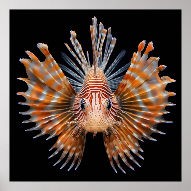 Póster Poster Ocean Life (Frente)