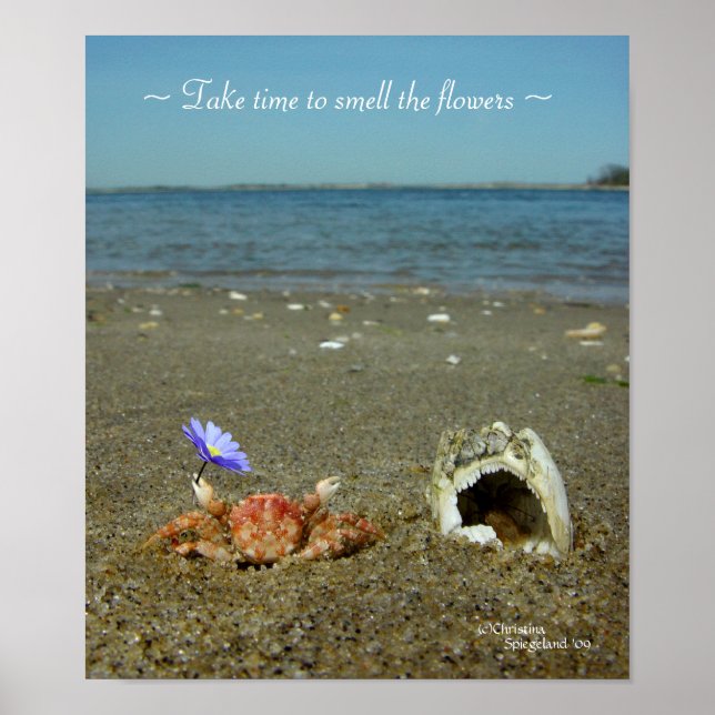 Póster Poster oceánico de cangrejo de flores (Frente)