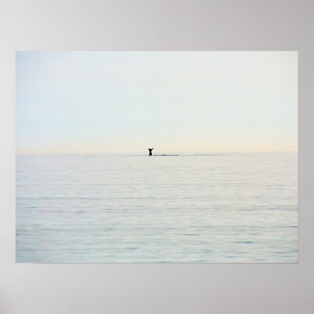 Póster Poster oceánico náutico de cola de ballena de Cape (Frente)