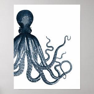 Póster Poster Octopus Azul Moderno