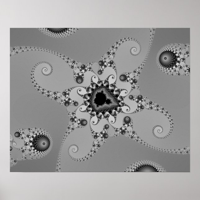Póster Poster Octopuses de escala de grises (Frente)