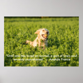 Póster Poster of Golden Retriever with Quote