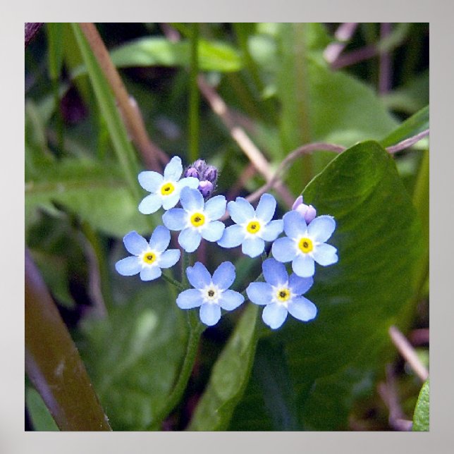 Póster Poster Olvidarme de las nociones 2 (Frente)