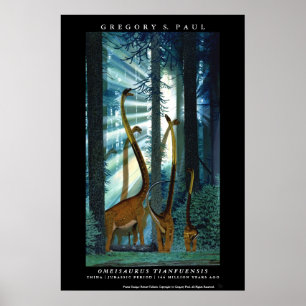 Póster Poster Omeisaurus Gregory Paul del dinosaurio