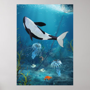 Póster Poster Orca II