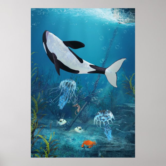 Póster Poster Orca II (Frente)