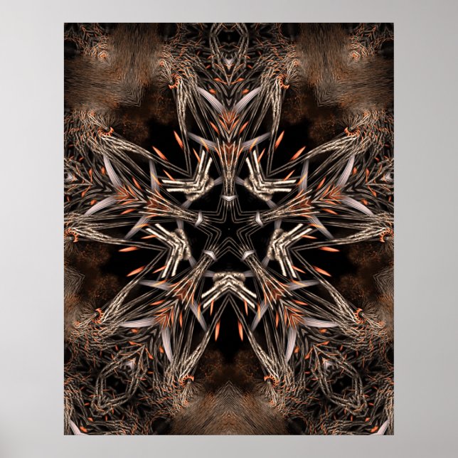 Póster poster organicstar (Frente)