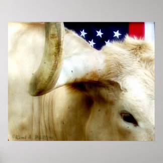 Póster Poster Orgulloso de Texas