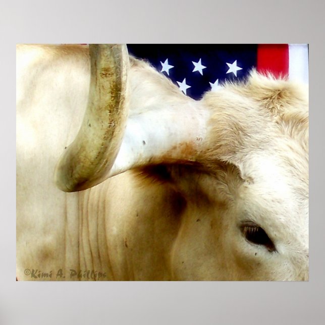 Póster Poster Orgulloso de Texas (Frente)