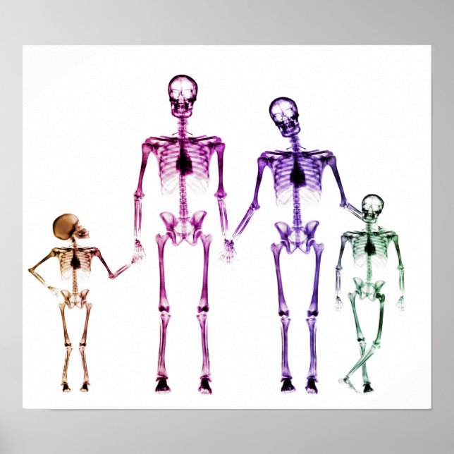 PÓSTER POSTER - ORIGINAL BLANCO DE LA FAMILIA X-RAY SKELE (Frente)