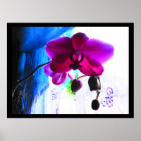 Poster, Orquídea magenta, opciones de fondo de col