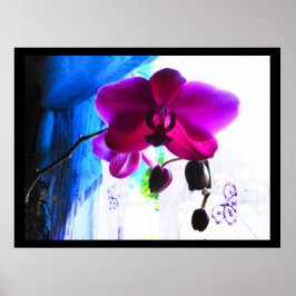 Póster Poster, Orquídea magenta, opciones de fondo de col