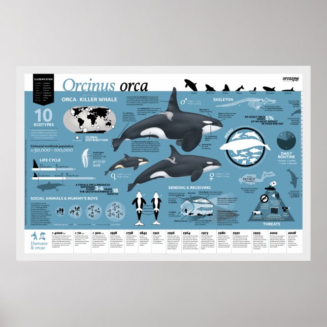 Póster Poster ortográfico - edición en inglés (Frente)