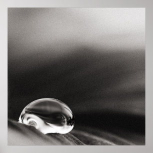 Póster Poster oscuro de la lluvia