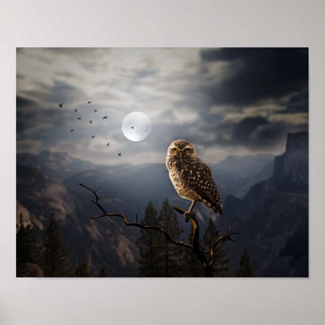 Póster Poster-Owl (Frente)