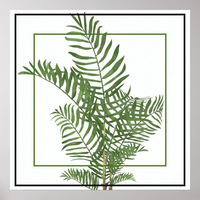 Póster Poster-Palm de 24" x 24" (Frente)