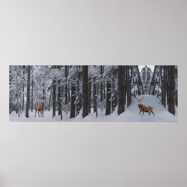 Póster Poster Panorama (Frente)