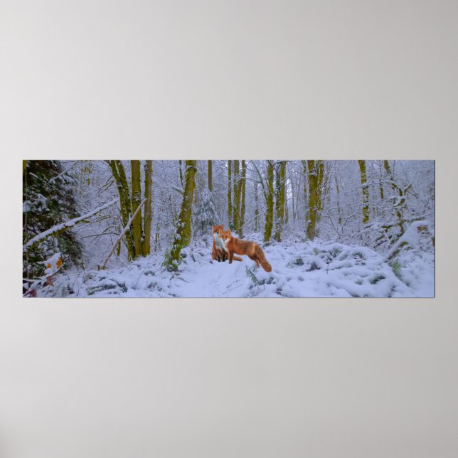Póster Poster Panorama (Frente)