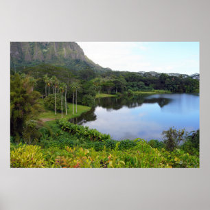 Póster Poster panorámico de Hawái