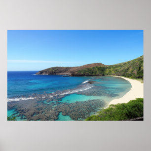 Póster Poster panorámico de Hawái Coast View