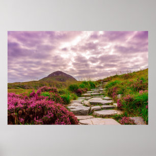 Póster poster panorámico de Irlanda