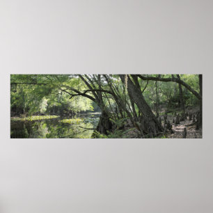 Póster Poster panorámico del río Cypress -60x20 -o menor