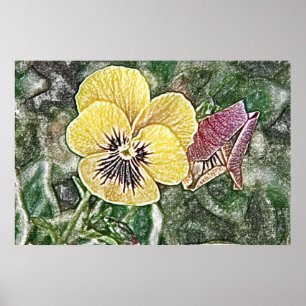 Póster Poster pansy amarillo