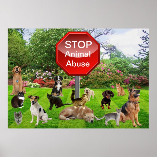Póster Poster para detener el maltrato animal (Frente)