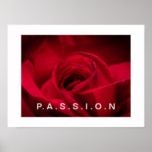 Póster Poster Passion Red Rose