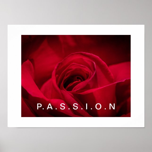Póster Poster Passion Red Rose (Frente)