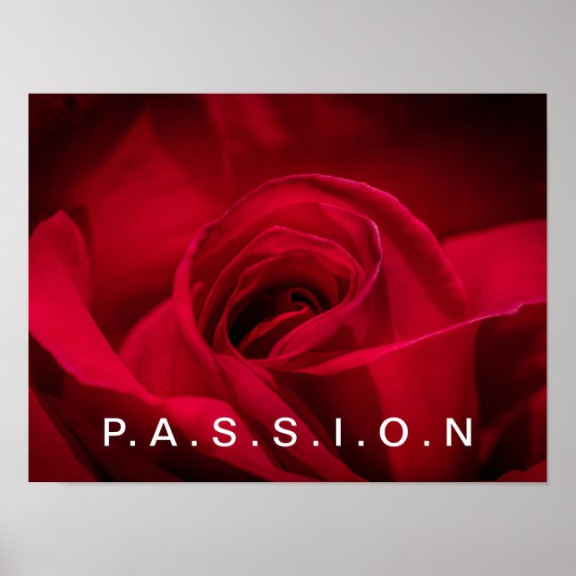 Póster Poster Passion Red Rose (Frente)