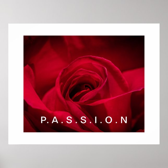 Póster Poster Passion Red Rose (Frente)