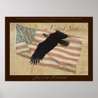 Póster Poster patriótico BALD EAGLE y FLAG con cita