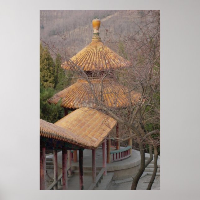 Póster Poster Pavilion (Frente)