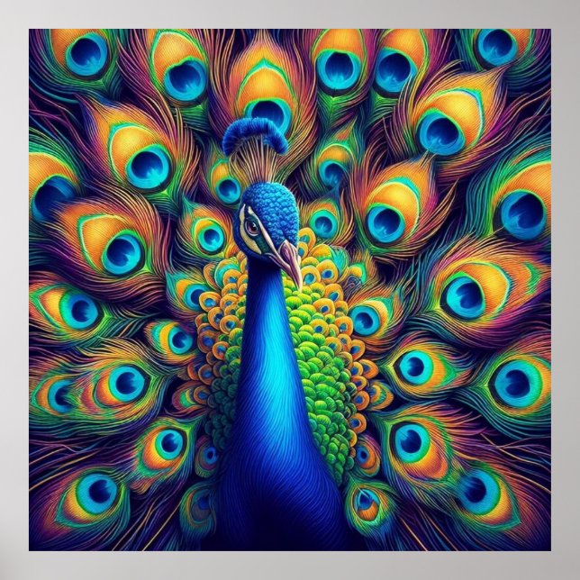 Póster Poster: pavo real azul, plumas (Frente)